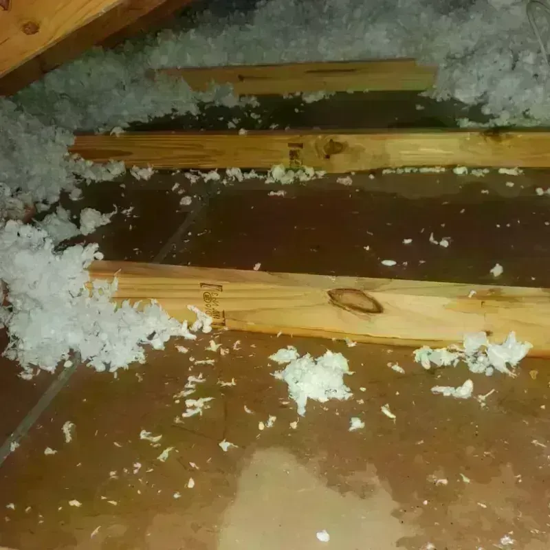 Attic Water Damage in Jal, NM